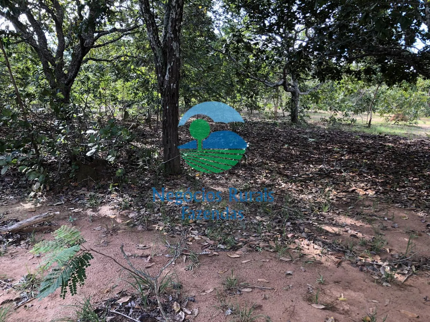 Farm for sale and to rent of 1,196 acres in Uruaçu, GO, Brazil