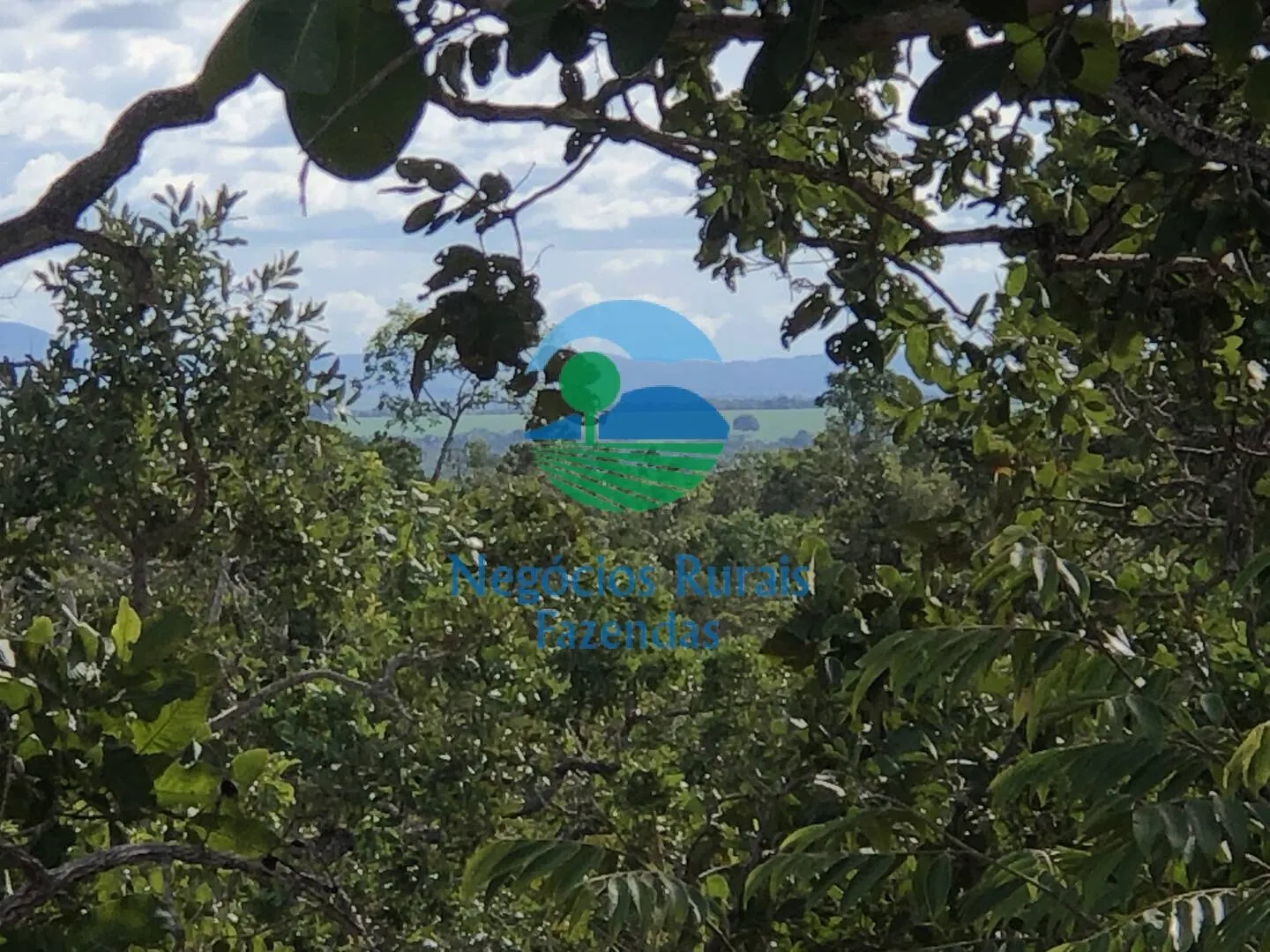 Farm for sale and to rent of 1,196 acres in Uruaçu, GO, Brazil
