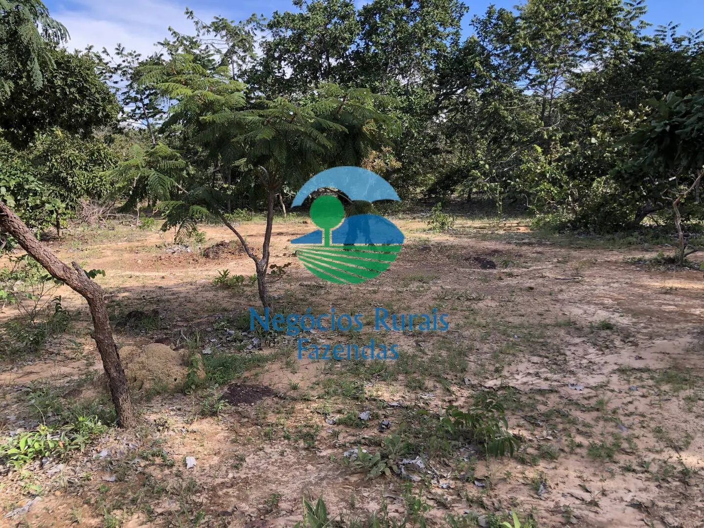 Farm for sale and to rent of 1,196 acres in Uruaçu, GO, Brazil