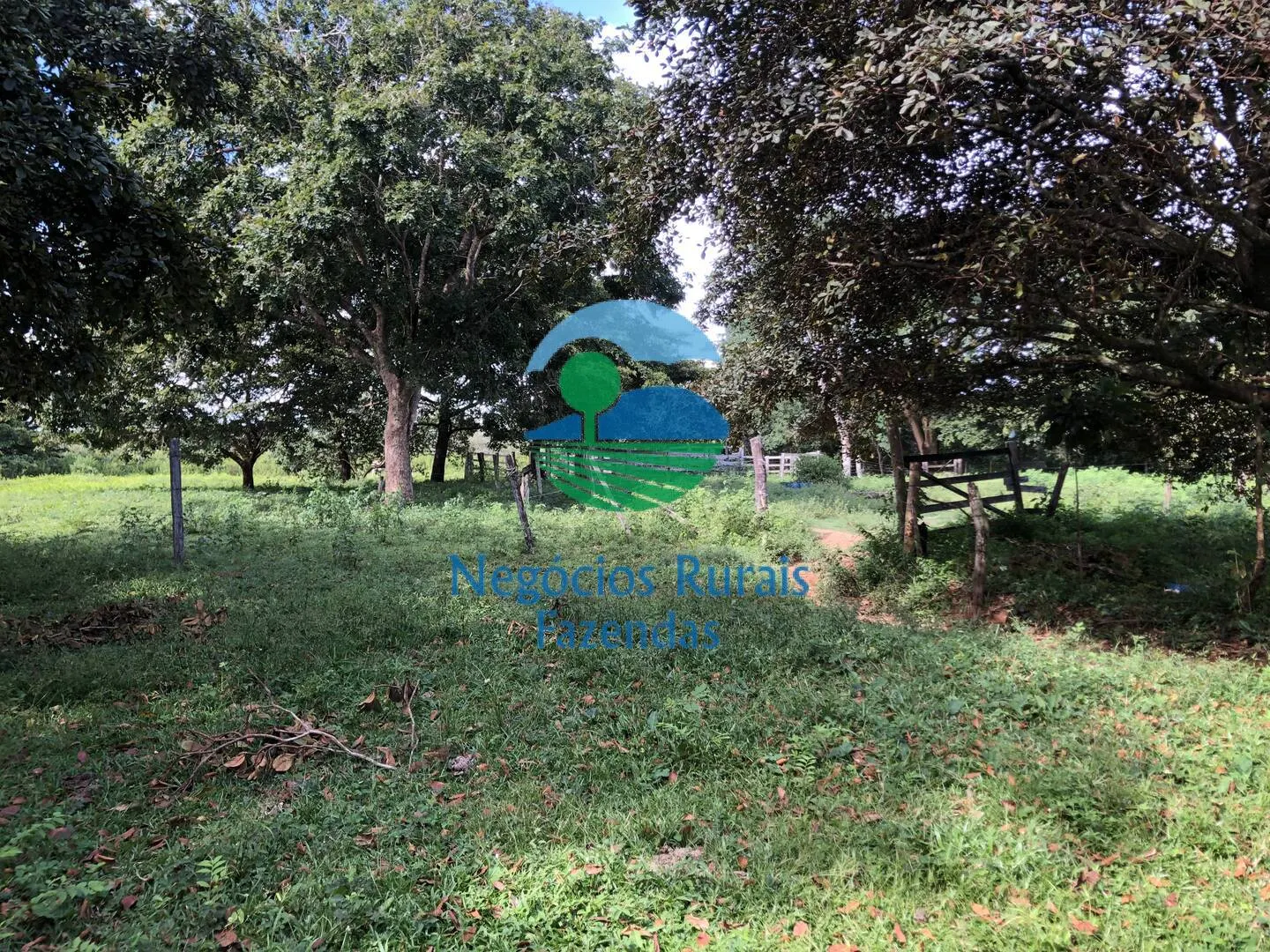 Farm for sale and to rent of 1,196 acres in Uruaçu, GO, Brazil