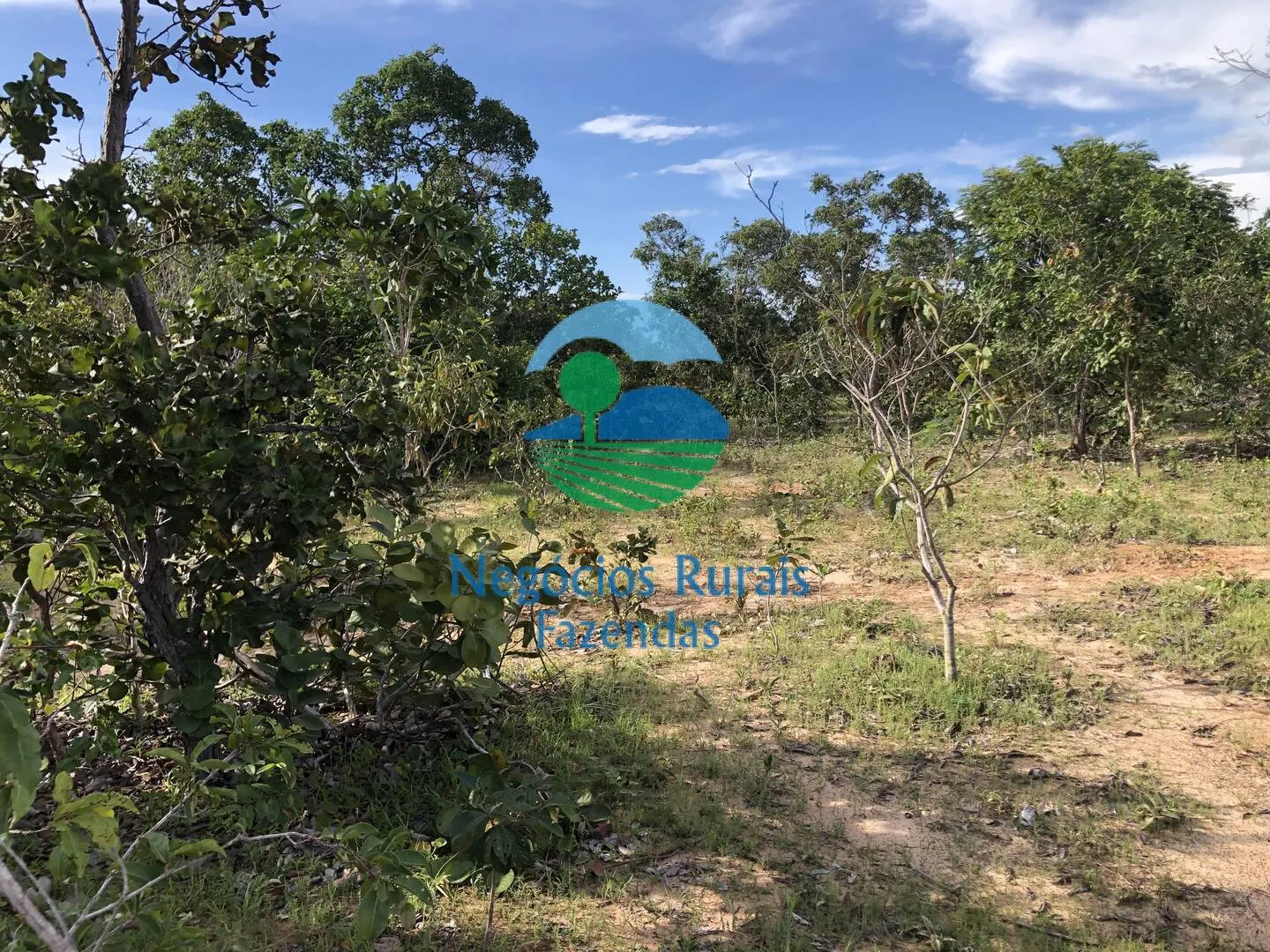 Farm for sale and to rent of 1,196 acres in Uruaçu, GO, Brazil