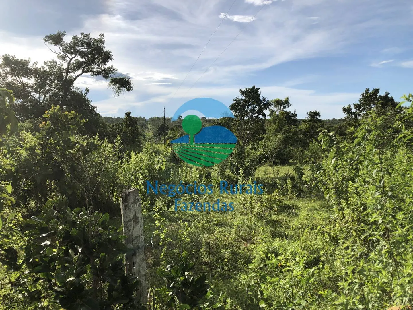 Farm for sale and to rent of 1,196 acres in Uruaçu, GO, Brazil