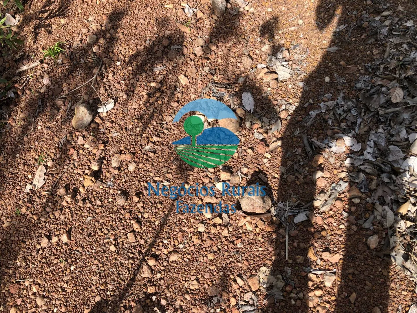 Farm for sale and to rent of 1,196 acres in Uruaçu, GO, Brazil