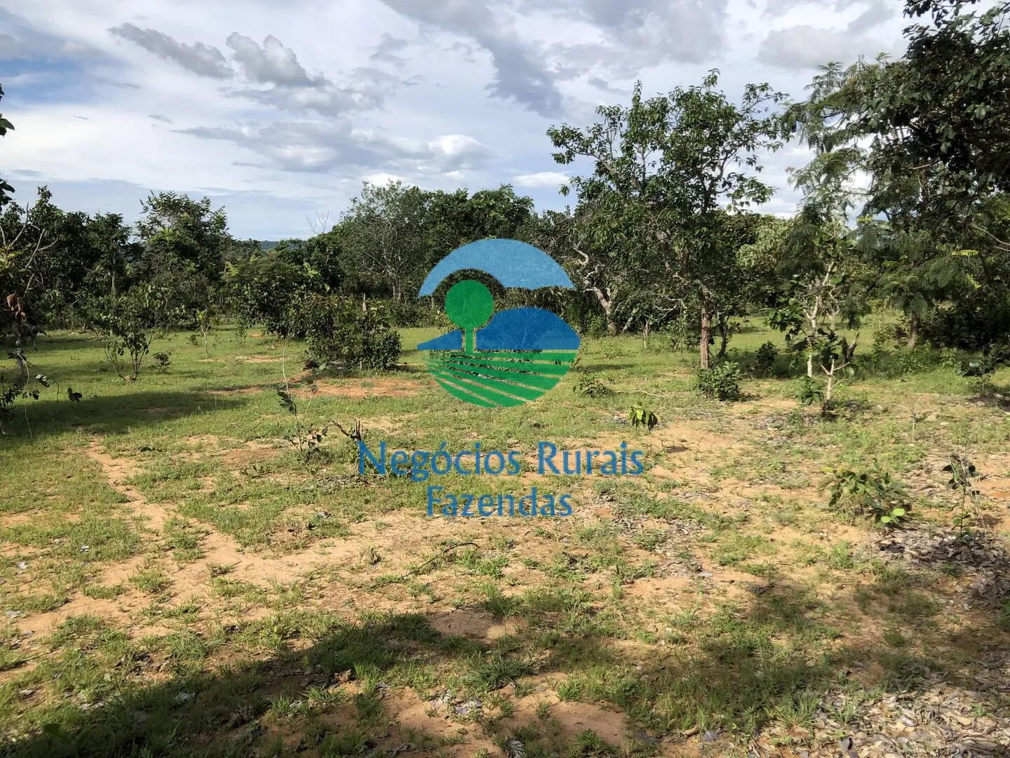 Farm for sale and to rent of 1,196 acres in Uruaçu, GO, Brazil