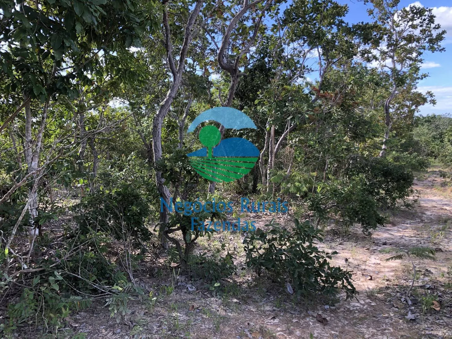 Farm for sale and to rent of 1,196 acres in Uruaçu, GO, Brazil