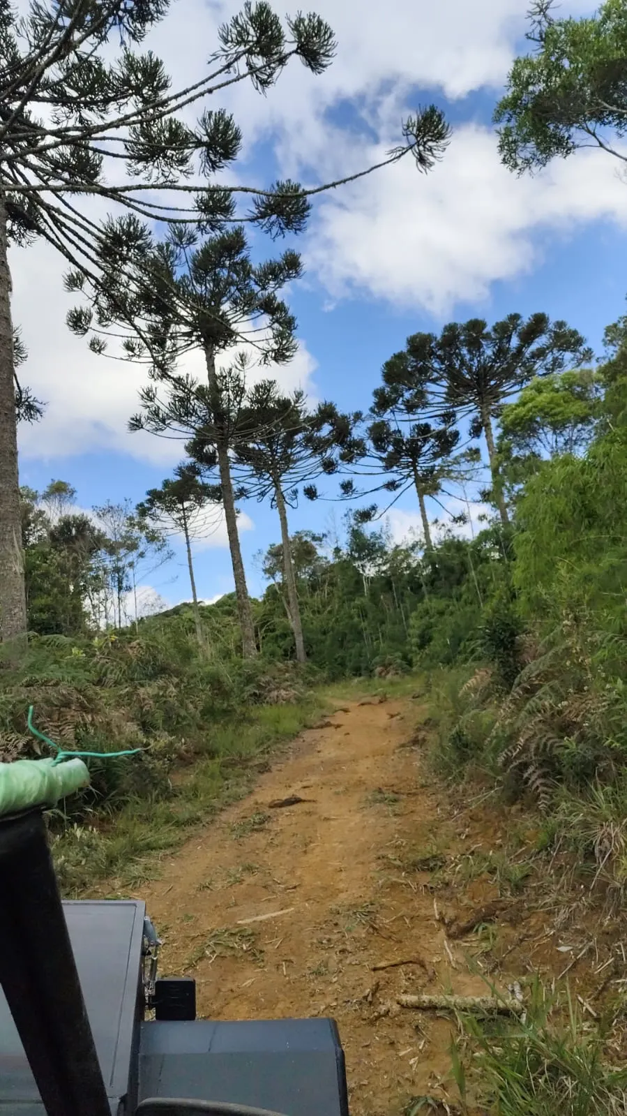 Terreno à venda de 61 ha em Vidal Ramos, SC, Brasil