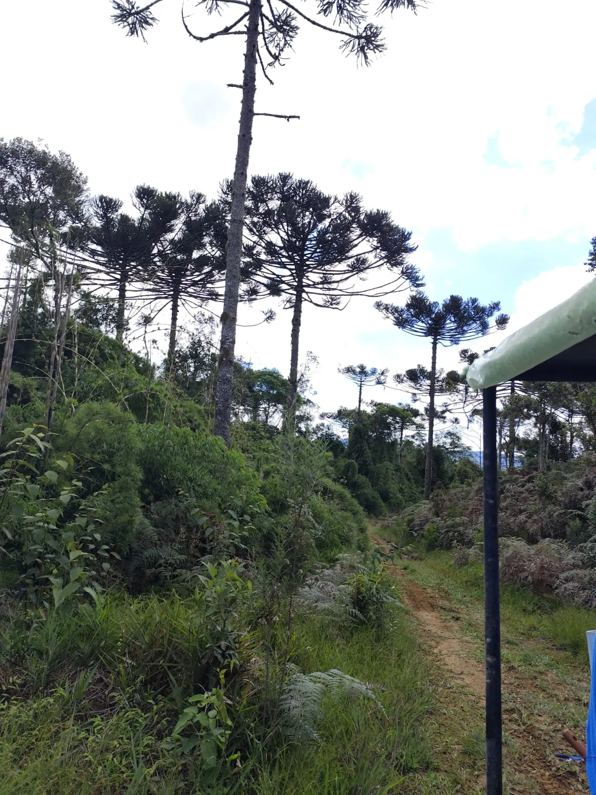 Terreno à venda de 61 ha em Vidal Ramos, SC, Brasil