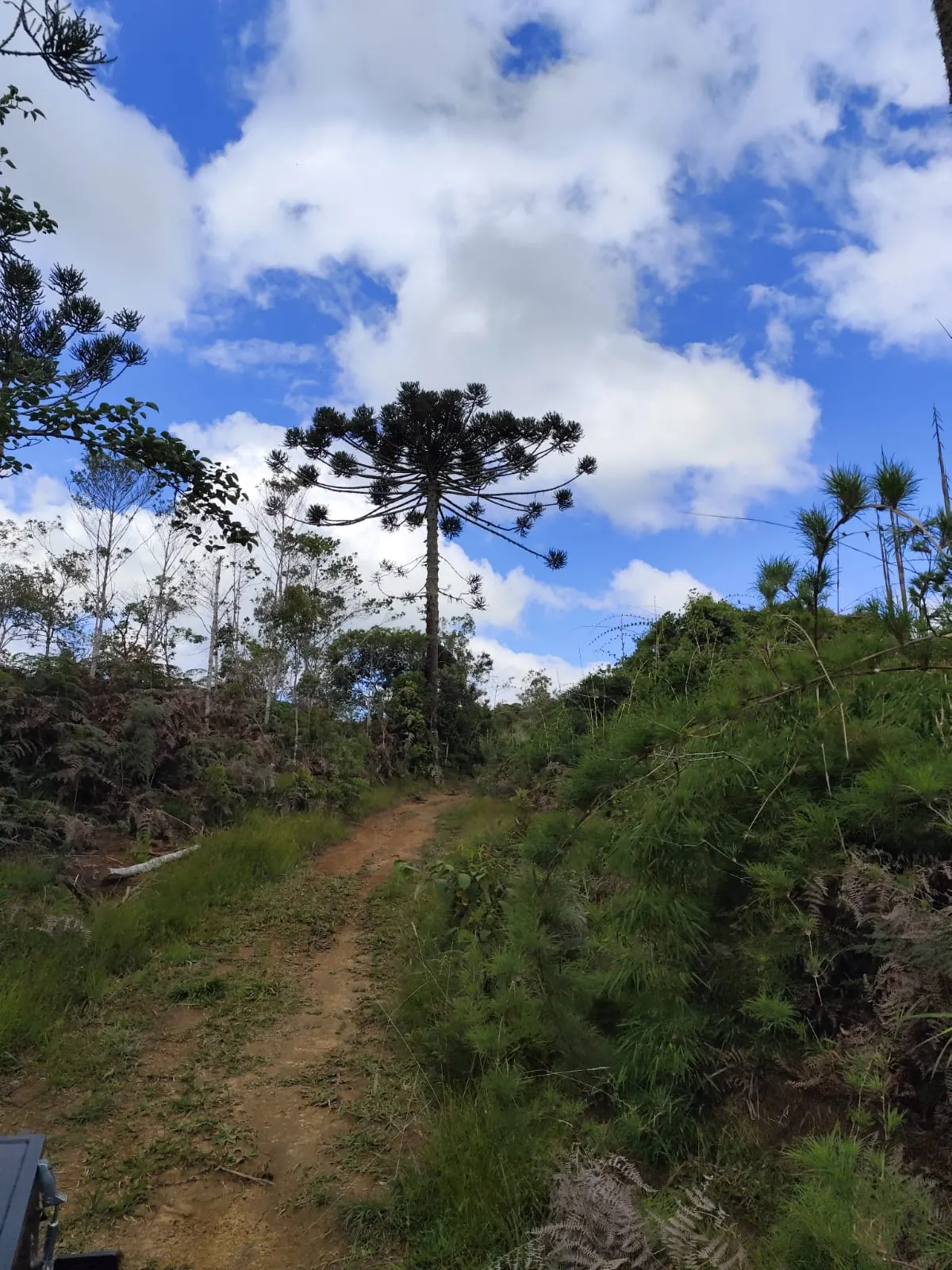 Terreno à venda de 61 ha em Vidal Ramos, SC, Brasil