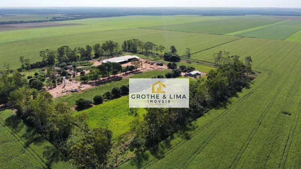 Fazenda à venda de 2.900 ha em Pedro Afonso, TO, Brasil