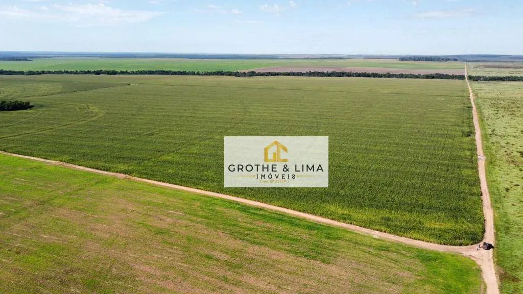Fazenda à venda de 2.900 ha em Pedro Afonso, TO, Brasil