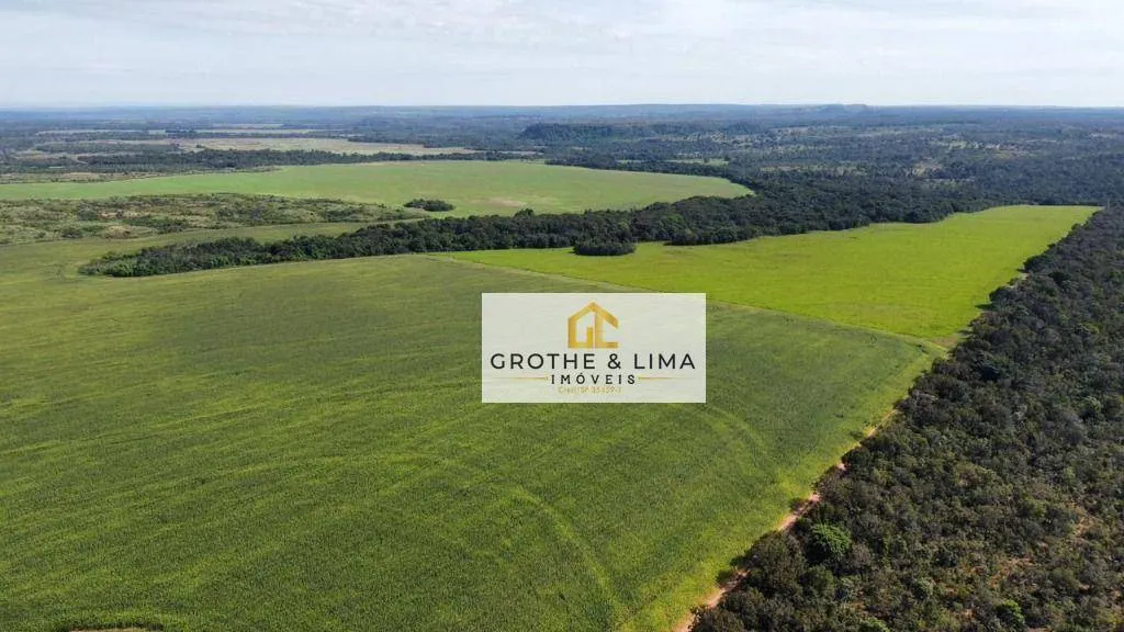 Fazenda à venda de 2.900 ha em Pedro Afonso, TO, Brasil