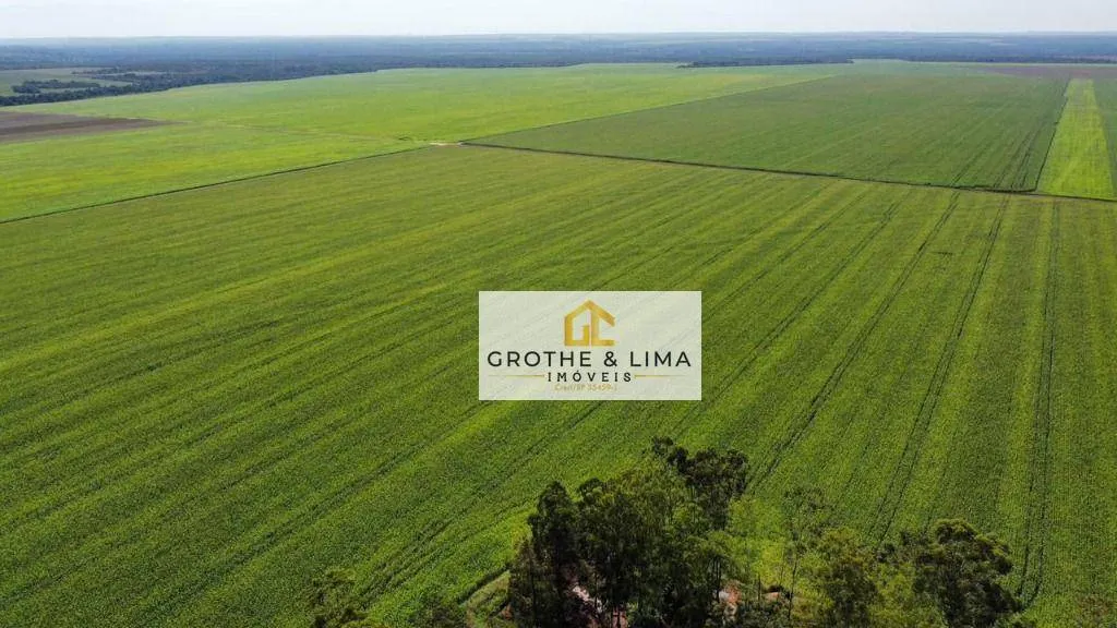Fazenda à venda de 2.900 ha em Pedro Afonso, TO, Brasil