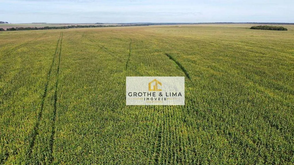 Fazenda à venda de 2.900 ha em Pedro Afonso, TO, Brasil