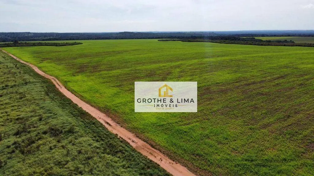 Fazenda à venda de 2.900 ha em Pedro Afonso, TO, Brasil