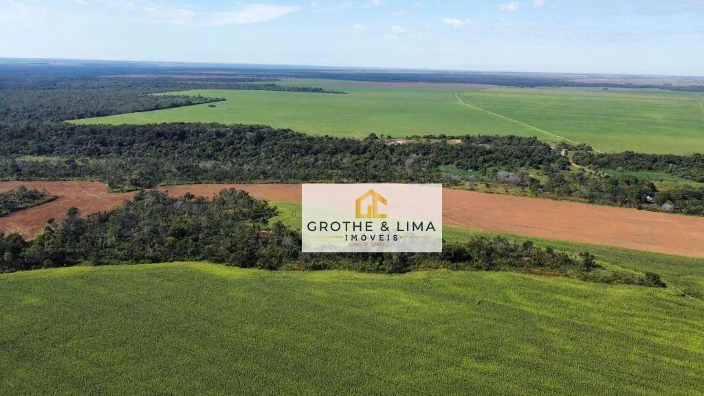 Fazenda à venda de 2.900 ha em Pedro Afonso, TO, Brasil