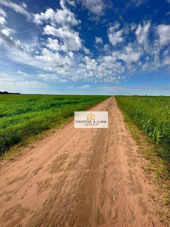Fazenda à venda de 2.900 ha em Pedro Afonso, TO, Brasil