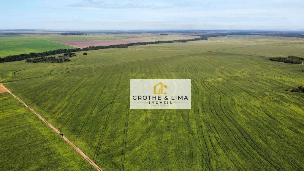 Fazenda à venda de 2.900 ha em Pedro Afonso, TO, Brasil