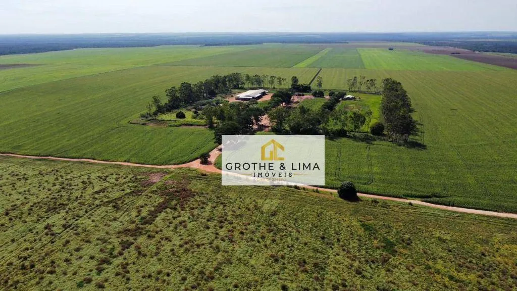 Fazenda à venda de 2.900 ha em Pedro Afonso, TO, Brasil