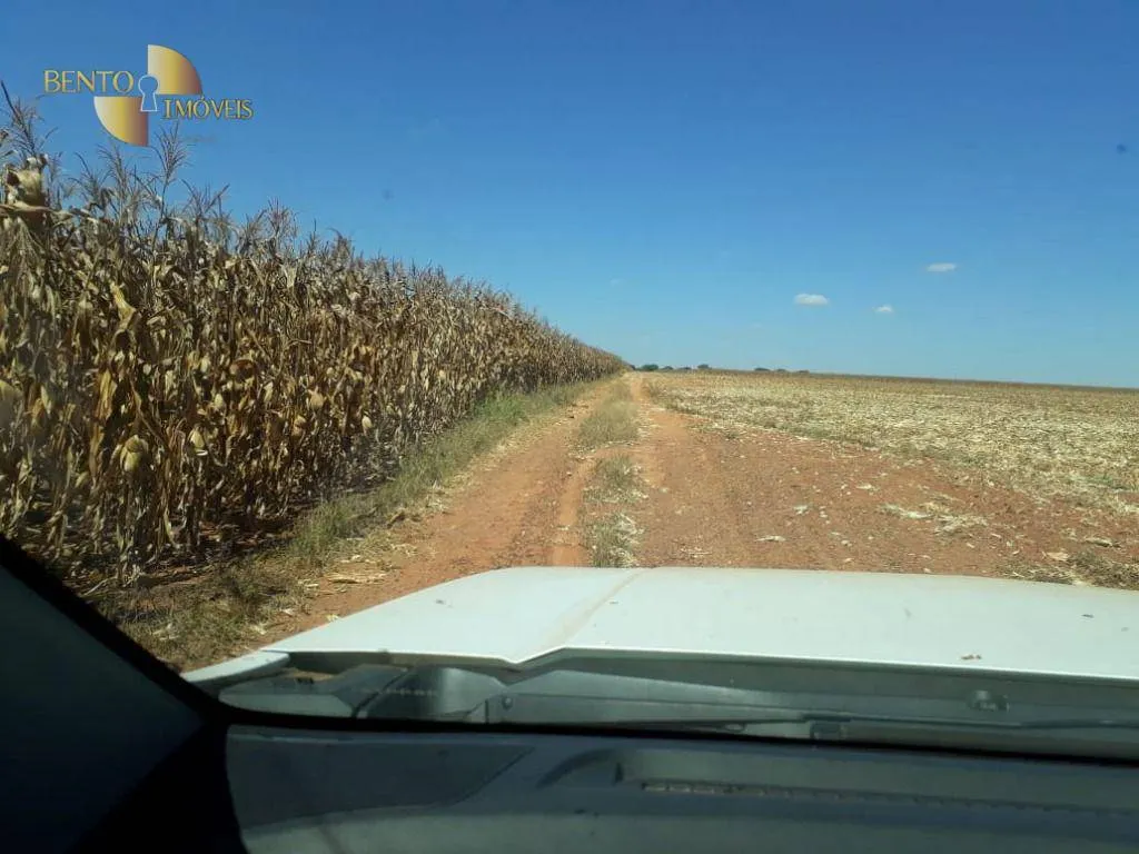 Fazenda à venda de 2.500 ha em Nova Maringá, MT, Brasil