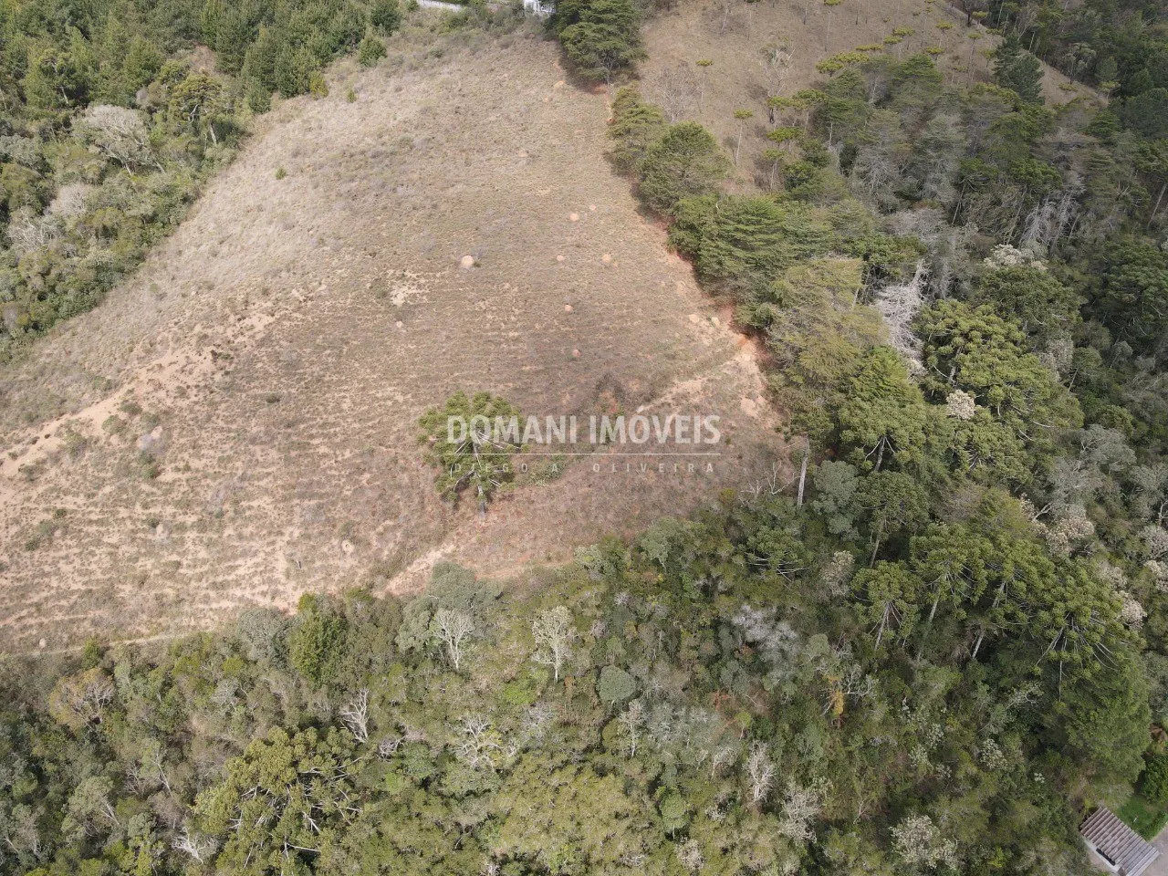 Comercial  de 9 ha em Campos do Jordão, SP, Brasil
