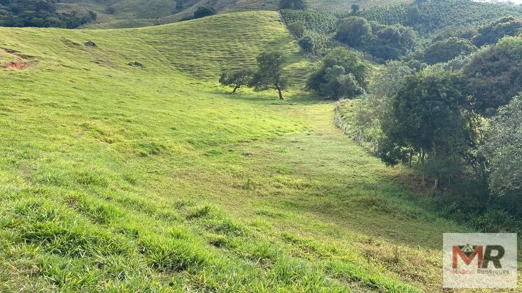 Sítio à venda de 43 ha em Ouro Fino, MG, Brasil