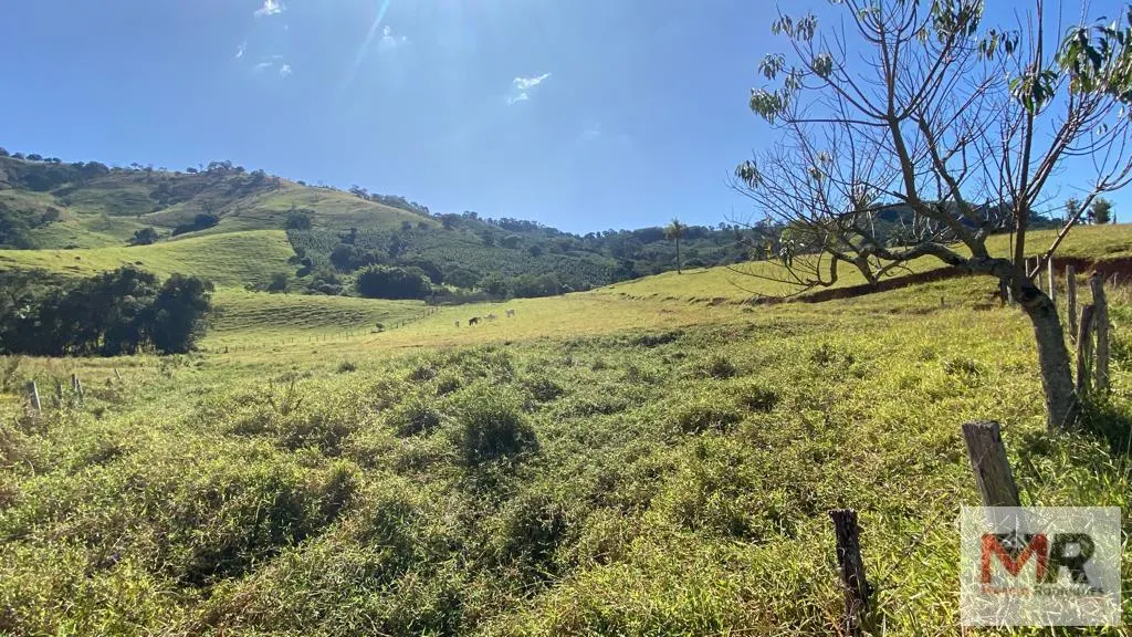 Sítio à venda de 43 ha em Ouro Fino, MG, Brasil