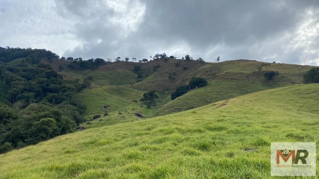 Sítio à venda de 43 ha em Ouro Fino, MG, Brasil