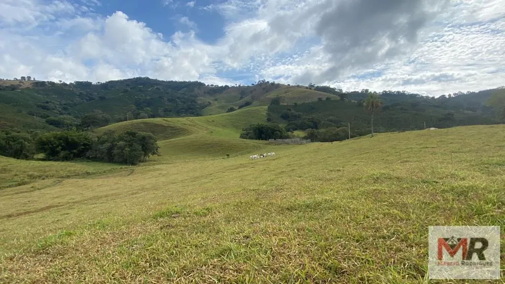 Sítio à venda de 43 ha em Ouro Fino, MG, Brasil