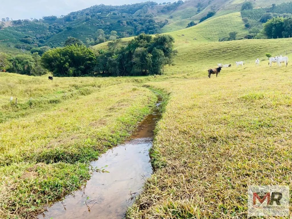 Sítio à venda de 43 ha em Ouro Fino, MG, Brasil