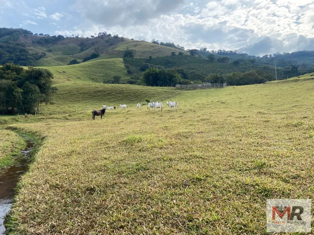 Sítio à venda de 43 ha em Ouro Fino, MG, Brasil