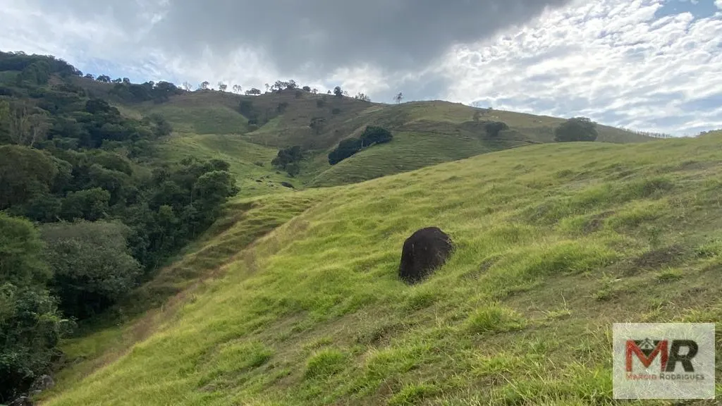 Sítio à venda de 43 ha em Ouro Fino, MG, Brasil