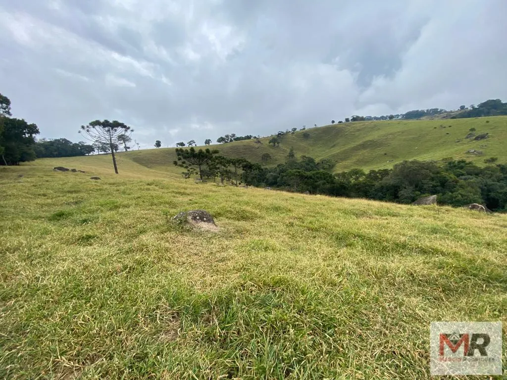 Sítio à venda de 43 ha em Ouro Fino, MG, Brasil