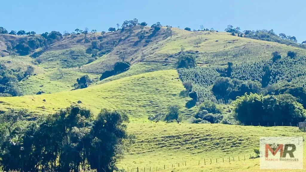 Sítio à venda de 43 ha em Ouro Fino, MG, Brasil