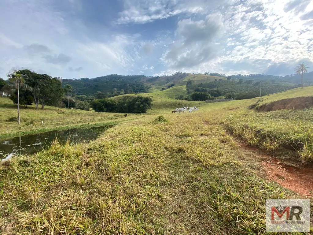 Sítio à venda de 43 ha em Ouro Fino, MG, Brasil