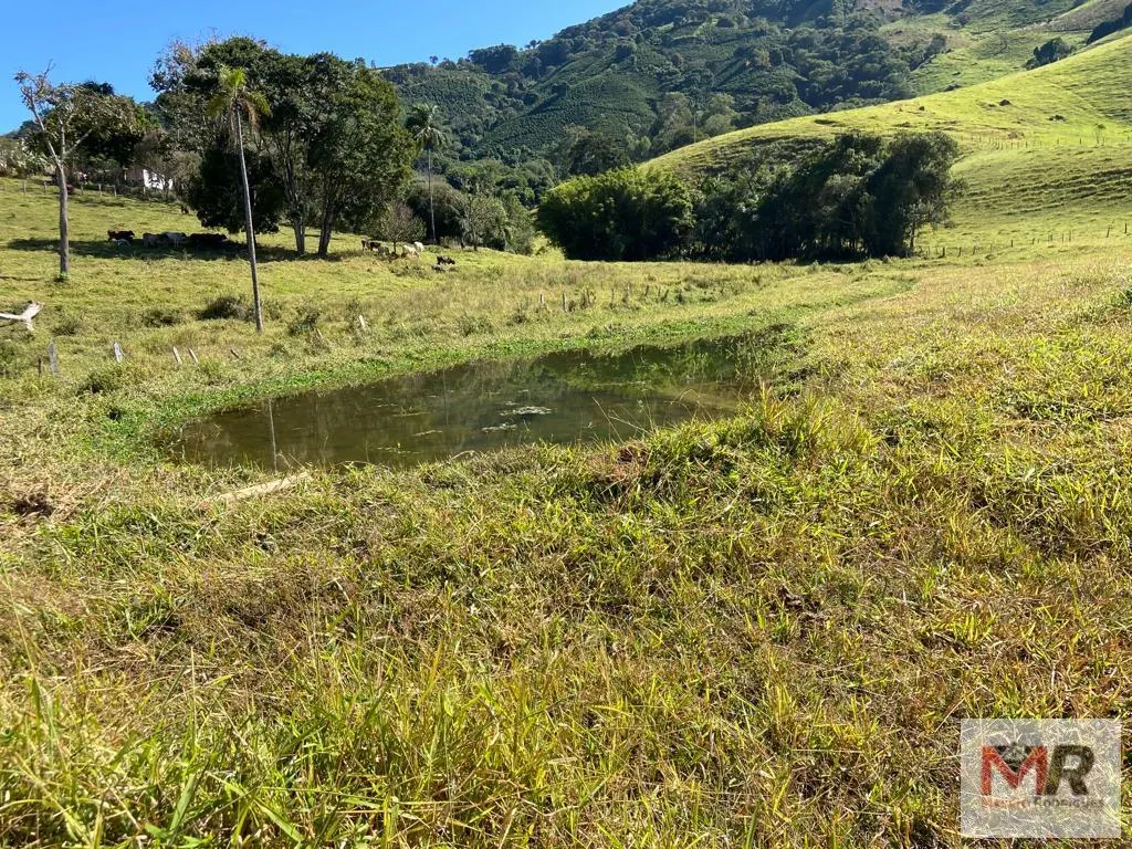 Sítio à venda de 43 ha em Ouro Fino, MG, Brasil