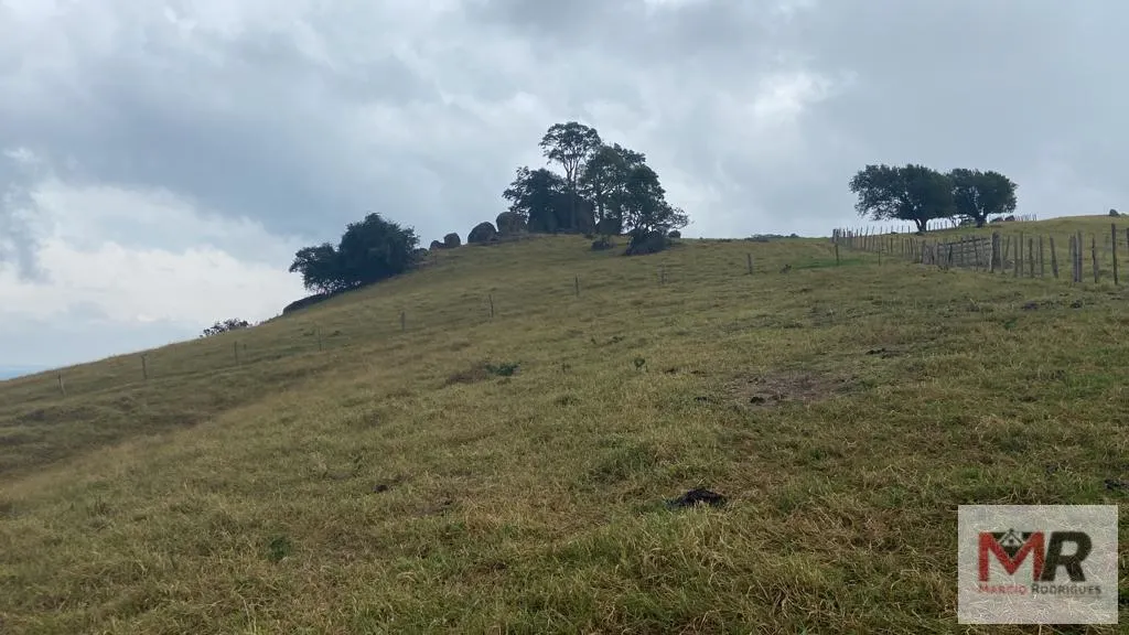 Sítio à venda de 43 ha em Ouro Fino, MG, Brasil