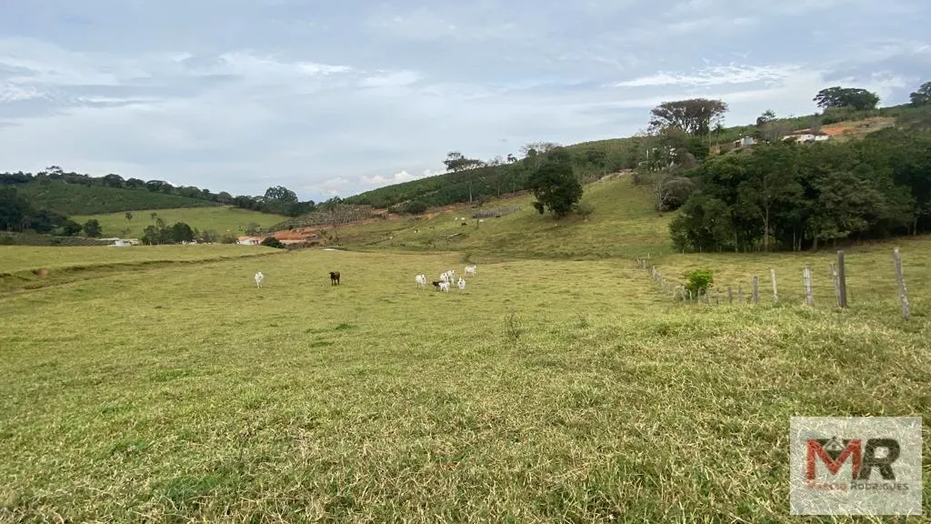 Sítio à venda de 43 ha em Ouro Fino, MG, Brasil