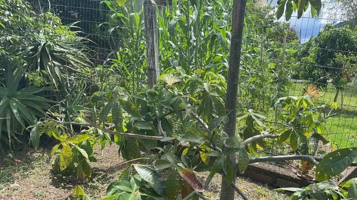 Plot for sale of 600 m² in Igrejinha, RS, Brazil