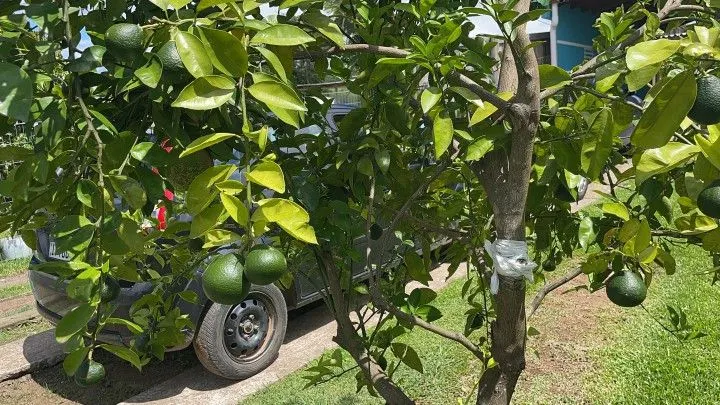 Plot for sale of 600 m² in Igrejinha, RS, Brazil