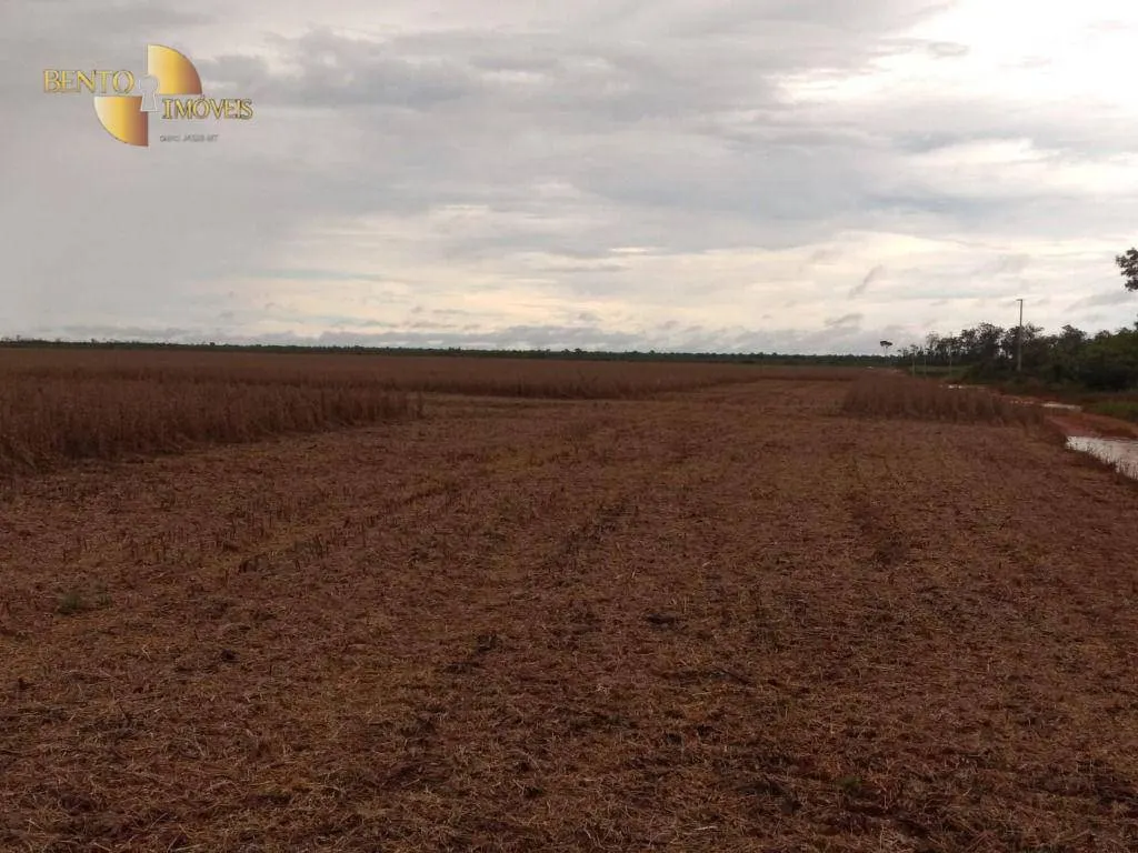 Fazenda à venda de 480 ha em Marcelândia, MT, Brasil