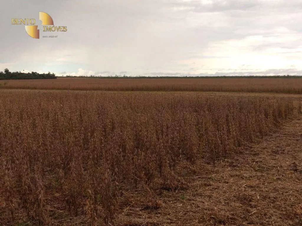 Fazenda à venda de 480 ha em Marcelândia, MT, Brasil