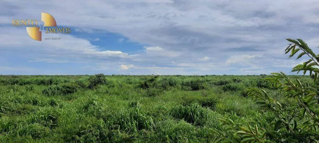 Fazenda à venda de 480 ha em Marcelândia, MT, Brasil