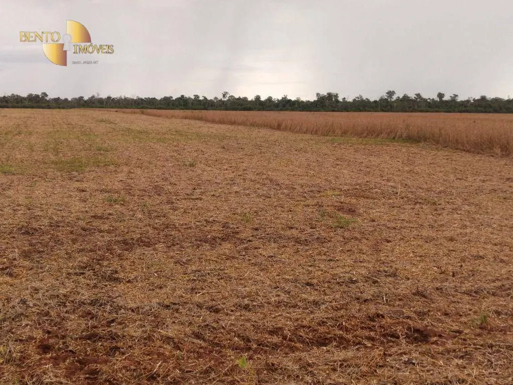 Fazenda à venda de 480 ha em Marcelândia, MT, Brasil