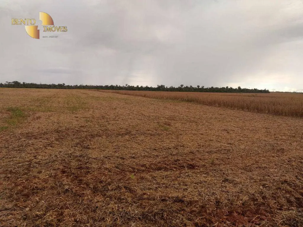 Fazenda à venda de 480 ha em Marcelândia, MT, Brasil
