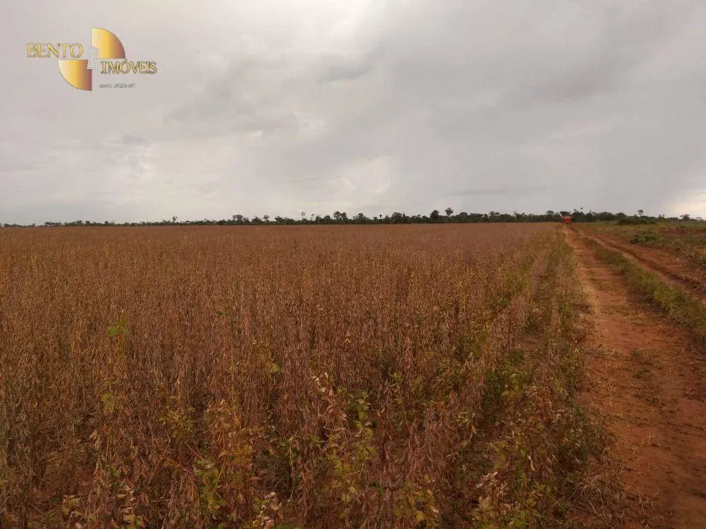 Fazenda à venda de 480 ha em Marcelândia, MT, Brasil