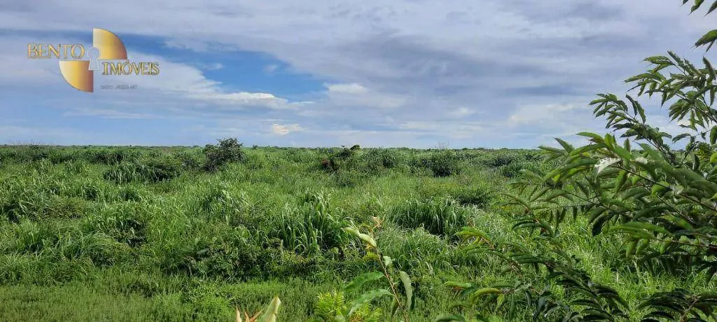 Fazenda à venda de 480 ha em Marcelândia, MT, Brasil