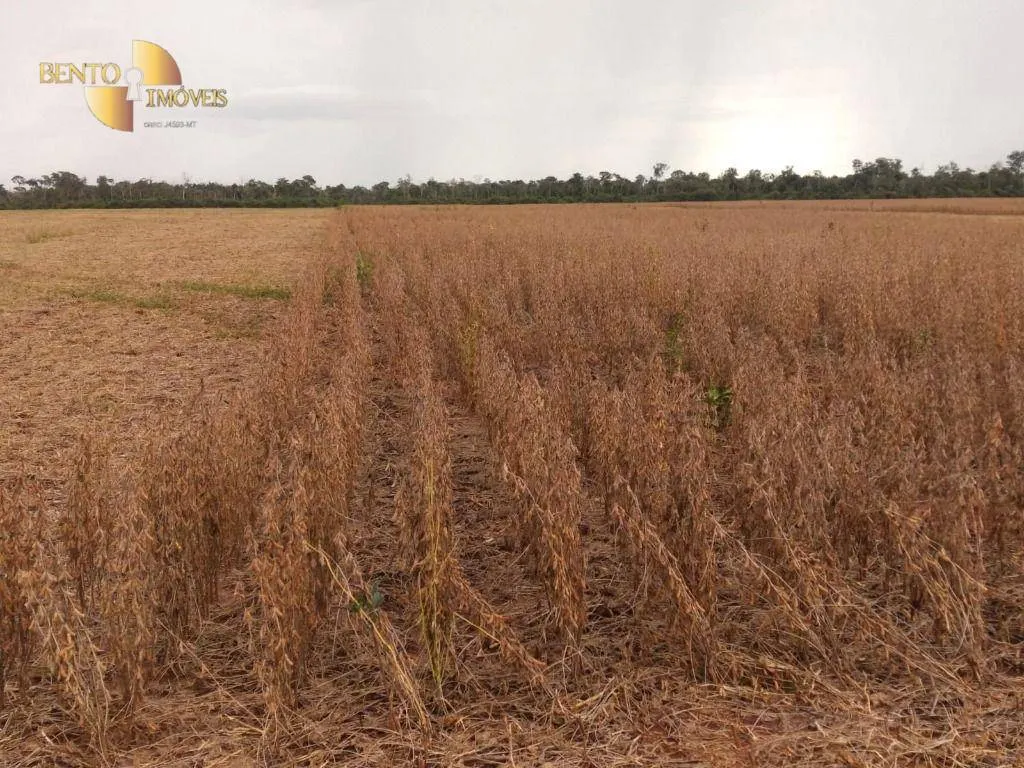 Fazenda à venda de 480 ha em Marcelândia, MT, Brasil