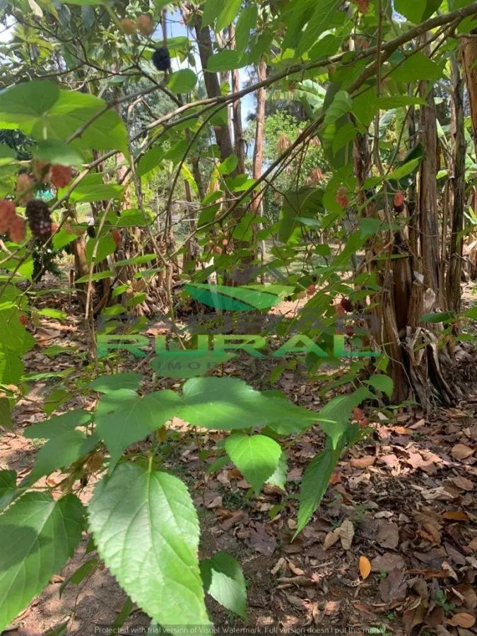 Chácara à venda de 1.000 m² em Mairinque, SP, Brasil