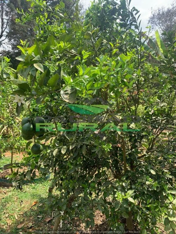 Chácara à venda de 1.000 m² em Mairinque, SP, Brasil