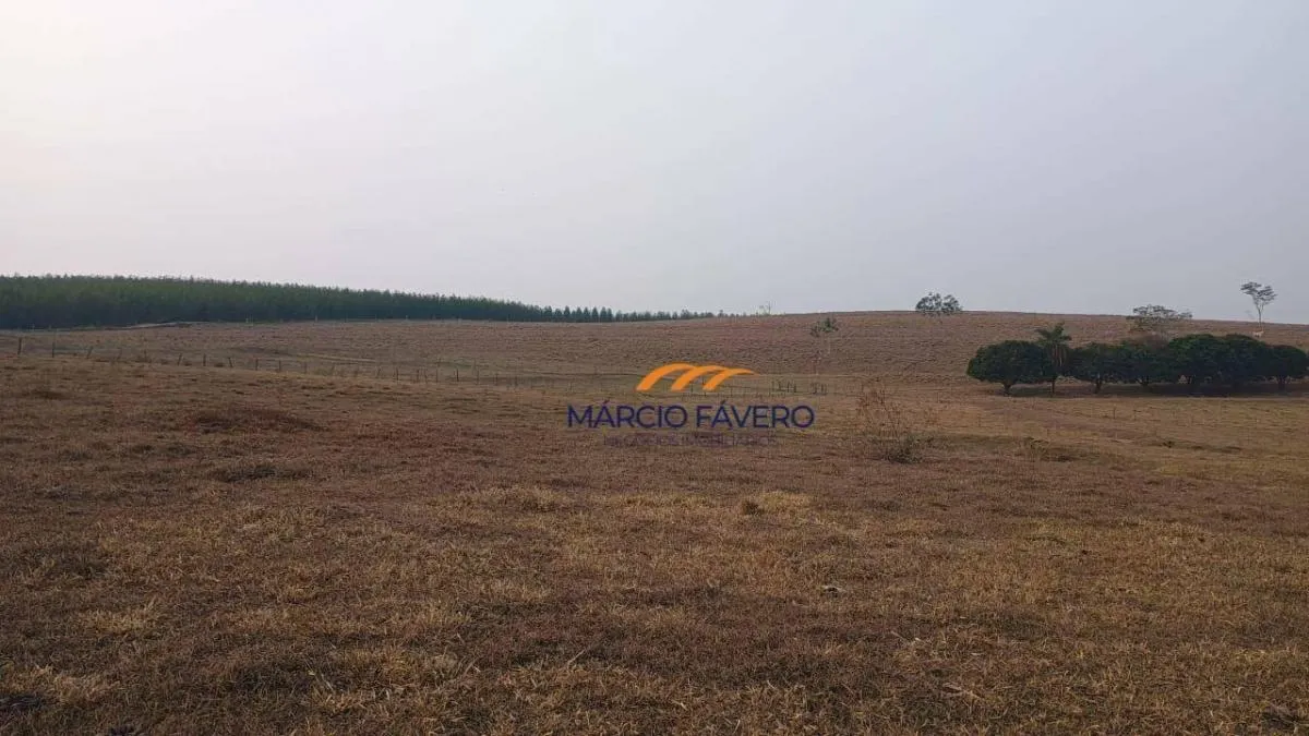 Fazenda à venda de 121 ha em Brotas, SP, Brasil